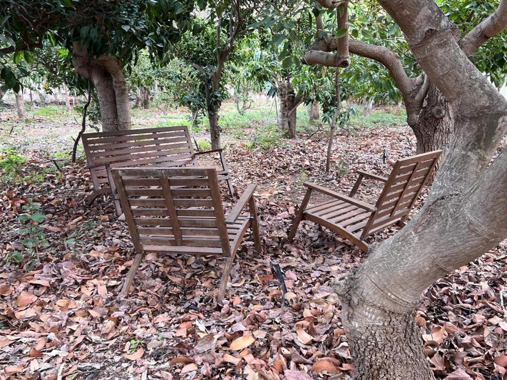 Apartamento Sunny Carmelito Deluxe Mogán
